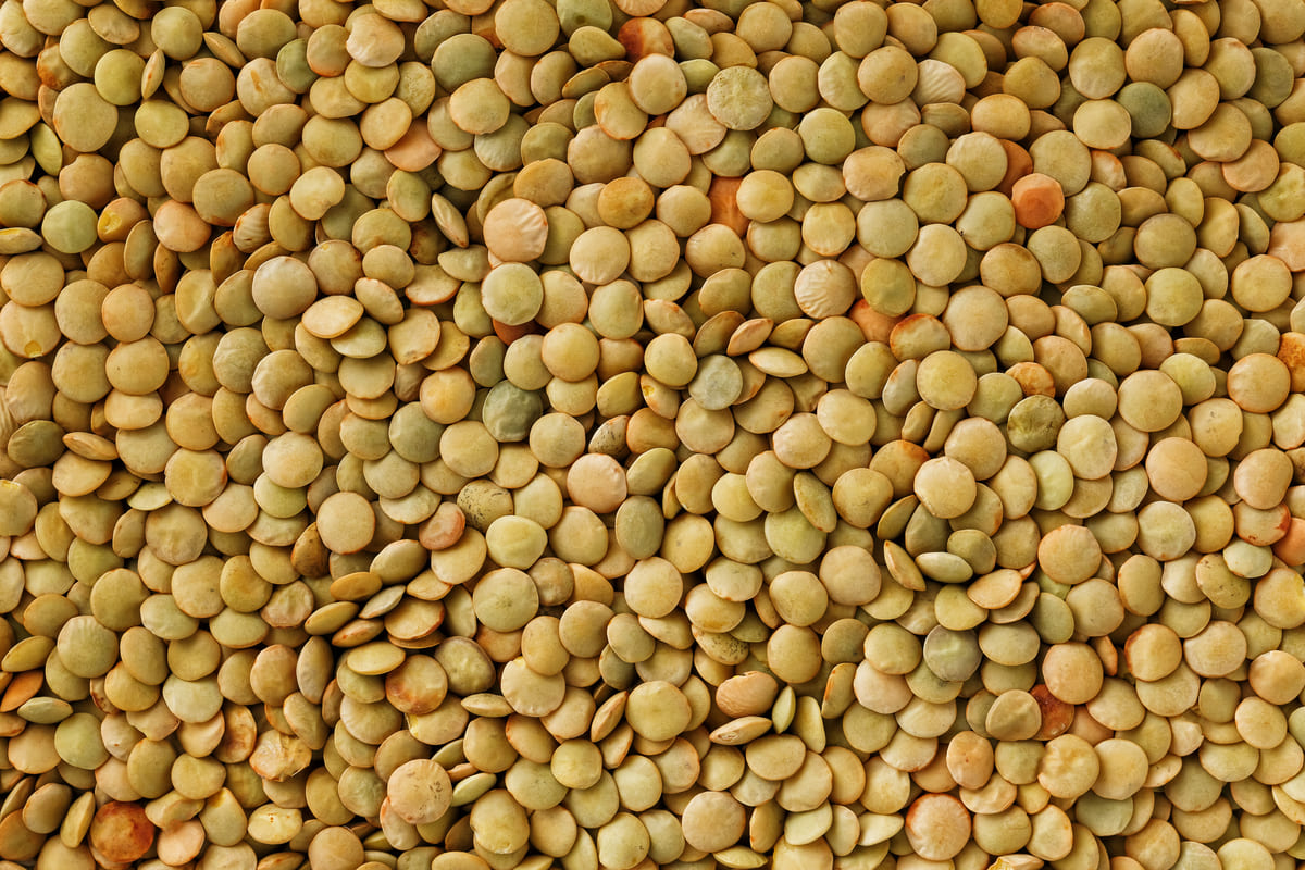Close-up de lentilhas secas de cor verde-amarelado, um dos alimentos ricos em carboidratos e proteínas, preenchendo todo o quadro.